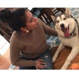 Honest Animal Caregiver in Monroe