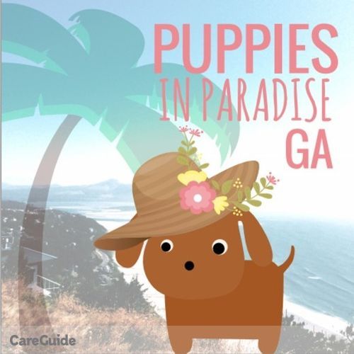Pet Care Provider Caitlin S's Profile Picture