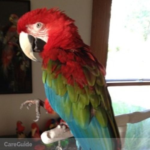 Pet Care Job Gelaney W's Profile Picture