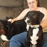 Occasional Sitter Needed for Weekend Trips
