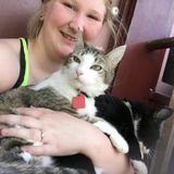 Animal Lover Looking For Animal Jobs