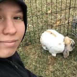 Animal Caregiver in Blacksburg