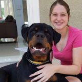 Pet sitter willing to spoil and take care of your pets!