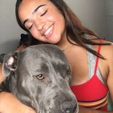 Interested in any and all pet related jobs :)