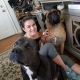 Hoping To Find A Doggy Sitter For My Fur Babies