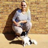 Pet sitter, dog trainer available