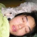 Available Dog Walker and Sitter in Montreal