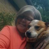 Mature, Dependable House/Pet Sitter