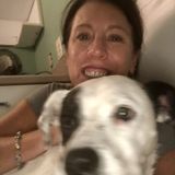 Looking For a Dog Walker In Cary, Apex, Holly Springs, Raleigh or Fuquay Varina