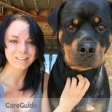 Experienced dog sitter/trainer/groomer