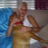 Jupiter Pet lover..Looking to help care for your pet while you are away and you will have no worries..