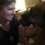 Greensboro Pet Sitter looking to care for your pets giving you peace of mind when needing care for them.