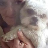 Lakewood House/Pet Sitter Interviewing For Being Hired in American Lake area.