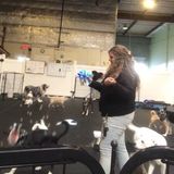 Local pet sitter , ready to pet sit for you.