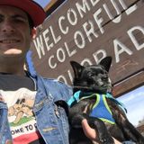 Lifelong Dog Walker and trainer in San Francisco, California