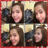 Past Time Cat- Dog- small animals :)