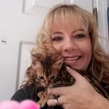 Polite Responsible House Sitter in Spokane Valley