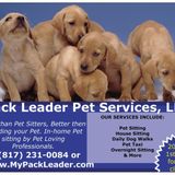 Looking to add a new team member to my pet sitting company!