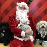 Pet care services available