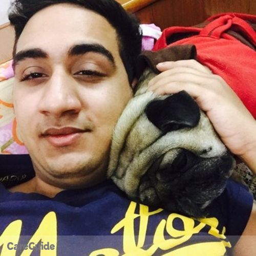 Pet Care Provider Ronil A's Profile Picture
