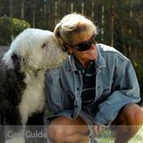 Experienced and dependable Petsitter and Dogwalker - Available immediately