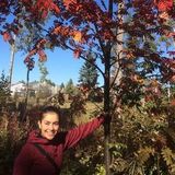 Devoted and reliable Nanny with 2 years in child care in Canada and 8 years as practical nurse.