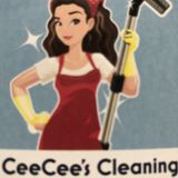 Detailed Deep Cleaner