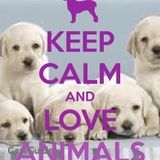 Great Pet Care Provider