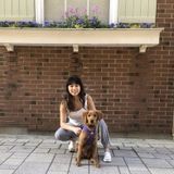 Experienced Pet Caregiver, Sitter, and Walker!