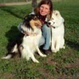 Elk Grove Petsitter Looking For Being Hired in California