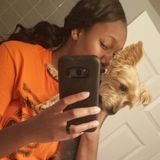 Skilled Pet Carer Available Immediately
