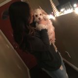 Animal lover looking to take care of your pet