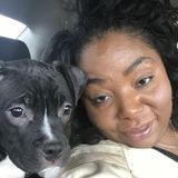 For Hire: Knowledgeable House and Petsitter