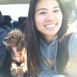Animal care