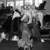 Professional Pet Sitter