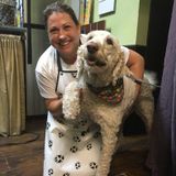 Available: Professional Dog Sitter in Delray Beach, Florida