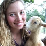 Qualified Petsitter in Mocksville