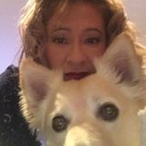 For Hire: Well Trained House Sitter in Temecula, California