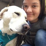 Pet Sitting Offered in Granbury