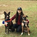 Great pet sitter available!