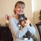 Dedicated Dog Walker & Pet Sitter