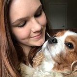 Animal-Lover Looking for Pet-Sitting Opportunities!