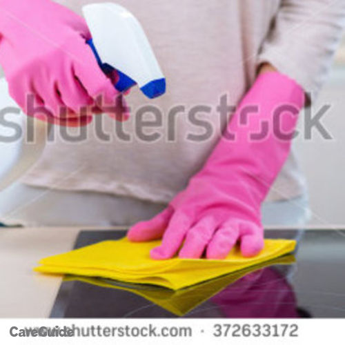 Housekeeper Provider Polished2 P's Profile Picture