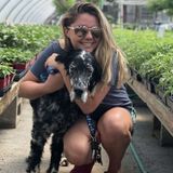 Dedicated Animal Sitter for Your Home