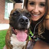 Everypaws favourite pet sitter offering walks, training and overnight stay in owners home.