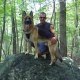 Skilled Pet Trainer in Shippensburg