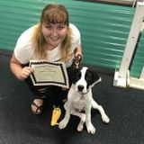 Energetic and Reliable Babysitter in Terre Haute