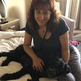 Trust Your Furbaby to an Experienced Pet Sitter