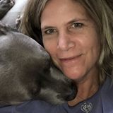 Talented Housesitter in Methuen, Massachusetts