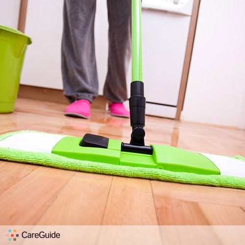 Housekeeper Provider Cleaning t's Profile Picture